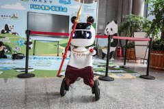 会收集旅客的利用反馈