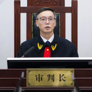 <b>乙、丙公司做为被诉生成式人工智能办事</b>